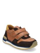 Shoes - Flat - With Velcro Lave Sneakers Brown ANGULUS