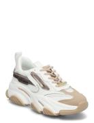 Possession-E Sneaker Lave Sneakers White Steve Madden