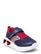 J Assister Boy C Lave Sneakers Navy GEOX