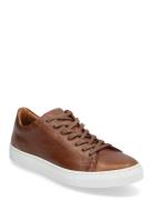 Classic Lt Lave Sneakers Brown Björn Borg