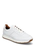 Amsterdam Lave Sneakers White Lloyd