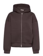 Scuba Hoodie Tops Sweat-shirts & Hoodies Hoodies Brown Weekday