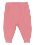 Pants - Solid Bottoms Sweatpants Pink CeLaVi