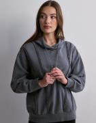 Adidas Originals - Svart - Dstsd Hoodie