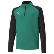 teamLIGA 1/4 Zip Top Jr Pepper Green-Puma Black