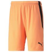 teamLIGA Shorts Neon Citrus-Puma Black