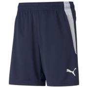 teamLIGA Training Shorts Jr Peacoat-Puma White