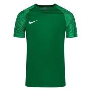 Nike Spillertrøye Dri-FIT Academy - Grønn/Hvit