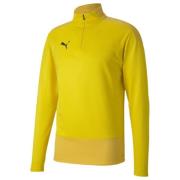 teamGOAL 23 Training 1/4 Zip Top