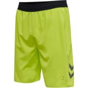 Hummel Lead Pro Shorts - Grønn