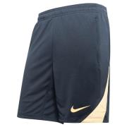 Nike Treningsshorts Dri-FIT Strike - Sort/Gull