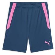 PUMA Treningsshorts teamLIGA 2 - Navy/Poison Pink