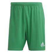 adidas Shorts Entrada 22 - Grønn