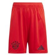 Bayern München Hjemmeshorts 2024/25 Barn