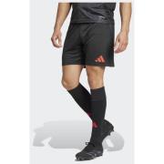 Adidas Benfica 24/25 Away Shorts