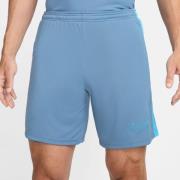 Nike Treningsshorts Dri-FIT Academy 23 - Blå/Blå