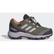 Adidas Terrex GORE-TEX Hiking Shoes