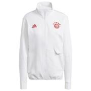 Adidas FC Bayern Anthem Jacket