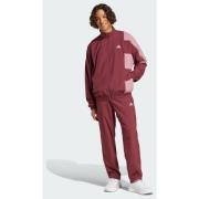 Adidas Sportswear Colorblock Track Suit