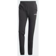 Adidas Terrex Xperior Light Pants