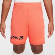 Nike Treningsshorts Dri-FIT Academy 25 Erling Haaland Personal Edition...