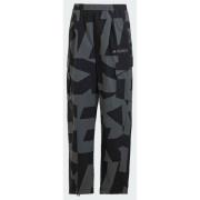 Adidas Terrex Xploric Cargo Pants Printed
