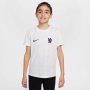 Chelsea Trenings T-Skjorte Dri-FIT Academy Pro Pre Match - Hvit/Ren pl...
