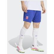 Adidas Olympique Lyonnais Anniversary Shorts
