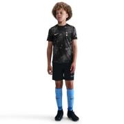 Tottenham Trenings T-Skjorte Dri-FIT Academy Pro Pre Match - Svart/Grå...