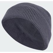 Adidas Terrex Xploric Merino Beanie
