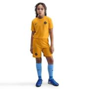 Nike Trenings T-Skjorte Dri-FIT Academy 25 Erling Haaland - Gull/Svart...