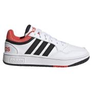 Adidas Hoops Shoes