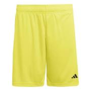 adidas Shorts Entrada 26 - Gul/Svart Barn