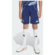 Adidas Ajax Amsterdam 25/26 Away Shorts Kids