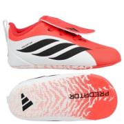 adidas Predator Crib IN Born For Goals - Lucid Red/Svart/Fottøy Hvit B...