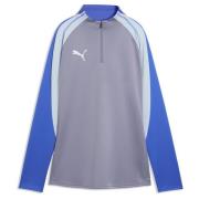 PUMA Treningsskjorte IndividualBlaze 1/4 glidelås - Gray Skies/Hvit/Bl...