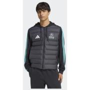 Adidas MERCEDES - AMG PETRONAS FORMULA 1 TEAM DNA PUFFER JACKET